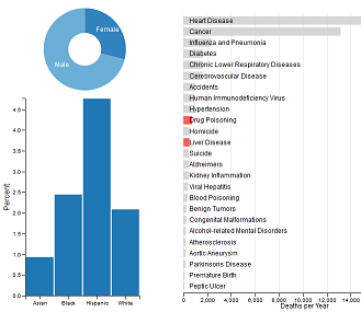 Causes of death in NYC
